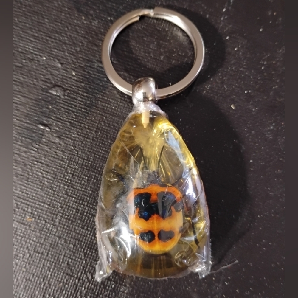 Camillia Shield Bug Keychain